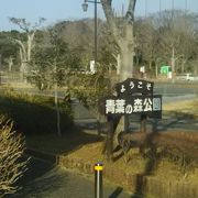 緑の多い公園