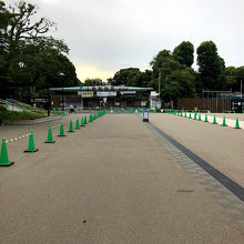 この上野動物園表門の向かってすぐ右隣りにあります