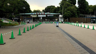 いつも混んでいますが、広々として気持ちの良いお店