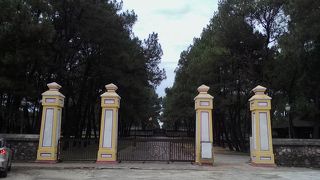 フエの秒殺スポット