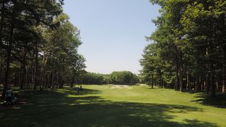 静かな林間コースです