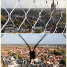 展望台周囲にはこのような金網が。