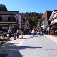 お店がたくさん