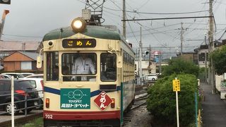 コトコト楽しい