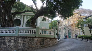 緑色がかわいい