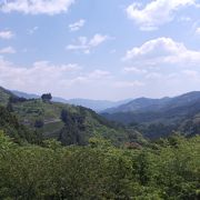 重なる山々と急傾斜の茶畑の絶景