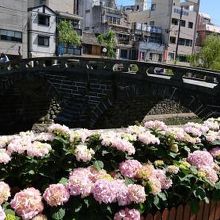 あじさいと眼鏡橋