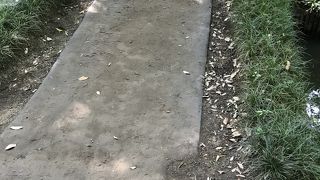 園の北側にある橋
