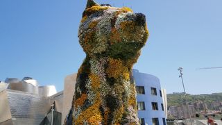 ビルバオに来た価値あり