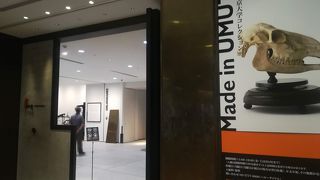 日本郵便と東京大学総合研究博物館のコラボです