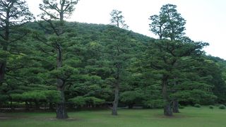 栗林公園の借景