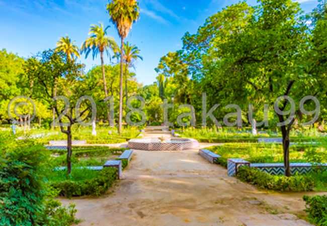 マリア ルイサ庭園 クチコミ アクセス 営業時間 セビリア フォートラベル マリア ルイサ庭園 クチコミ アクセス 営業時間 セビリア フォートラベル