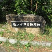 竹林や梅林のある横浜市児童遊園地