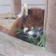 小さな動物園も無料で見られます