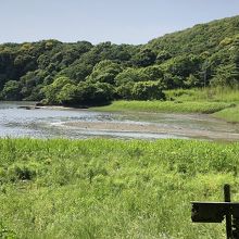 カニが見られる砂浜