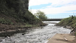 こんなに狭い川でも遡上するのですね。