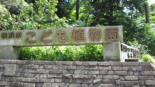 紫陽花が楽しめる横浜市こども植物園