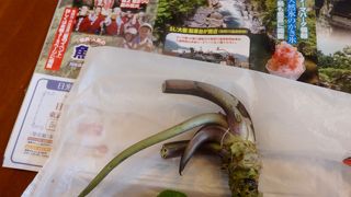 ワサビを買いました