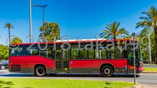 セビリアは大都市だけあってバスネットワークが充実しています。