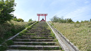 ちょっとしたハイキング