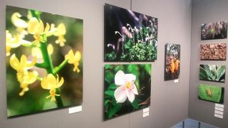 ギャラリーとしては小規模、写真歴史博物館は面白い