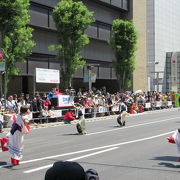 ５月２～４日は博多どんたくの会場なのよー