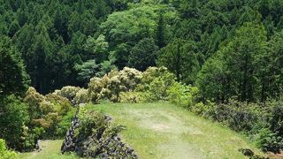 千枚田へ行くなら是非一緒に