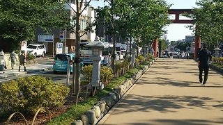 八幡宮へ続く道