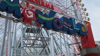 昼も夜も楽しい