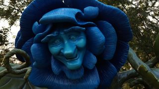 実写版アリスの迷路