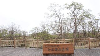 お天気が悪いと気温がかなり下がりますよ。