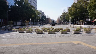 道幅の広い公園