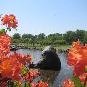 芝生と池の庭園のある市街地の外れの静かな公園