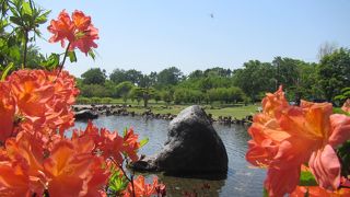 芝生と池の庭園のある市街地の外れの静かな公園