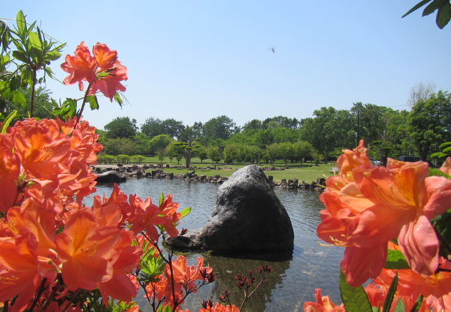 芝生と池の庭園のある市街地の外れの静かな公園