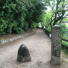 散歩道です。