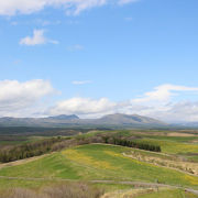 いかにも北海道らしい広～い景色です。