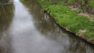 毛細血管の様に水系が拡がっていました。