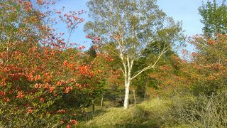 八方ヶ原に近いです