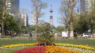 大通公園内で見つけてくださいね！