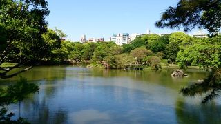 紅葉もしだれ桜も素晴らしいです