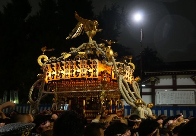 鳥越祭 クチコミ アクセス 営業時間 浅草 フォートラベル