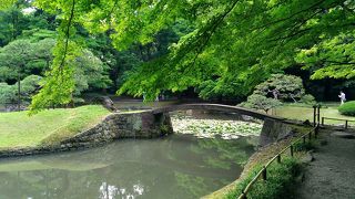 菖蒲はもう終わりかな・・・都会の真中のオアシス