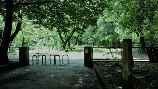 自然に囲まれた公園