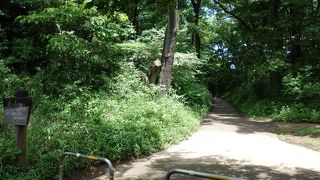 歴史上も重要な道