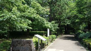 広大な面積を持つ公園