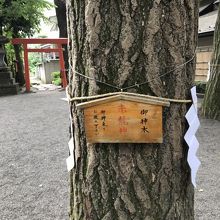 赤龍神(赤・白・青・黒と４本あります)