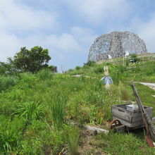 ピーターラビット