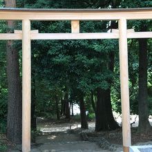 公園内にある市杵嶋神社。