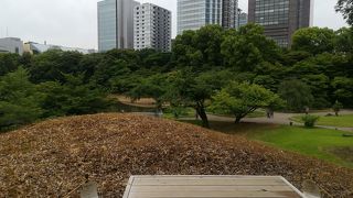 頂上部からは園内を見渡せます